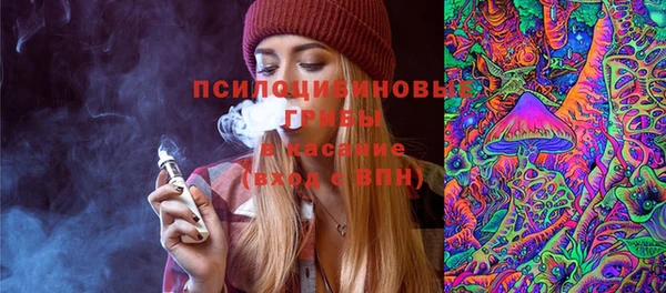 винт Козловка
