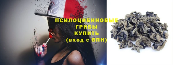 винт Козловка
