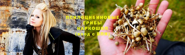 a pvp Козельск